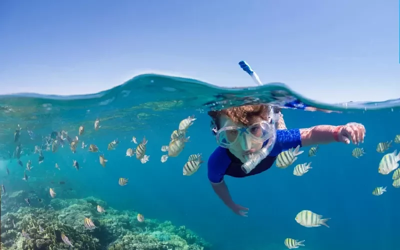 Snorkeling à Port Ghalib depuis Marsa Alam